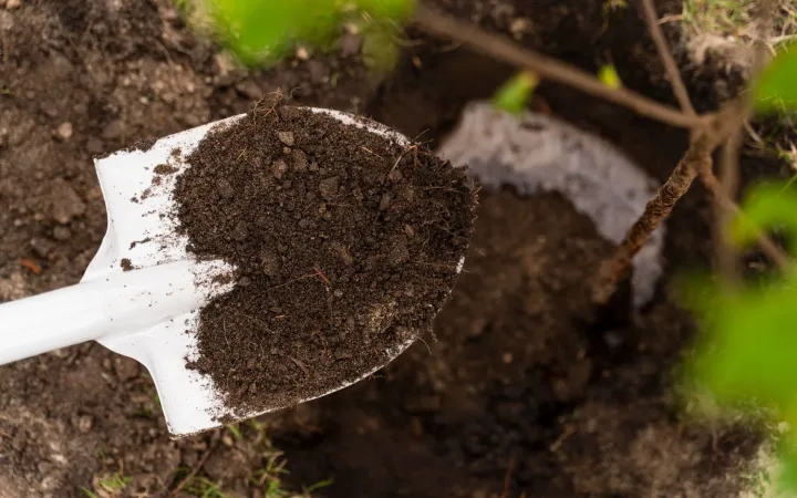 Beneficios del compostaje