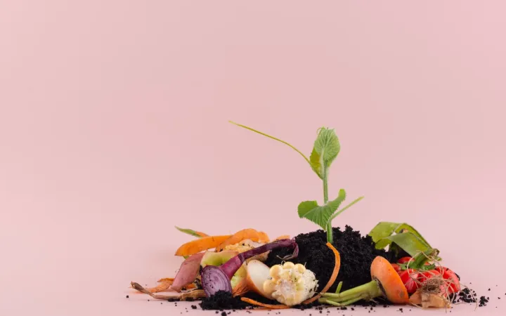 beneficios económicos del compostaje